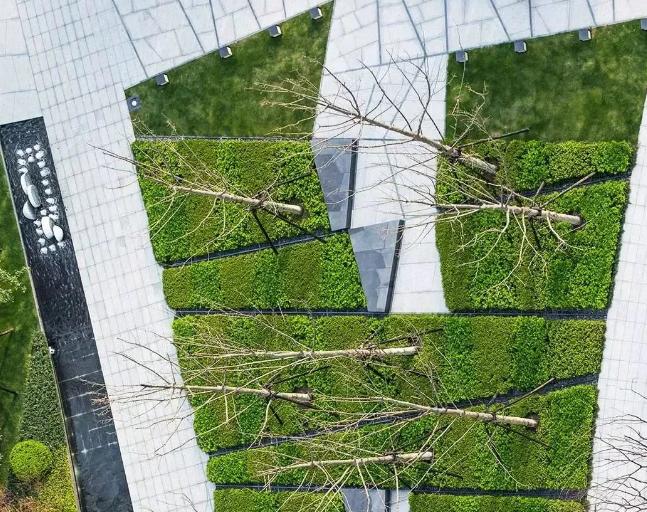 干貨滿滿，園林景觀設計專業必看！