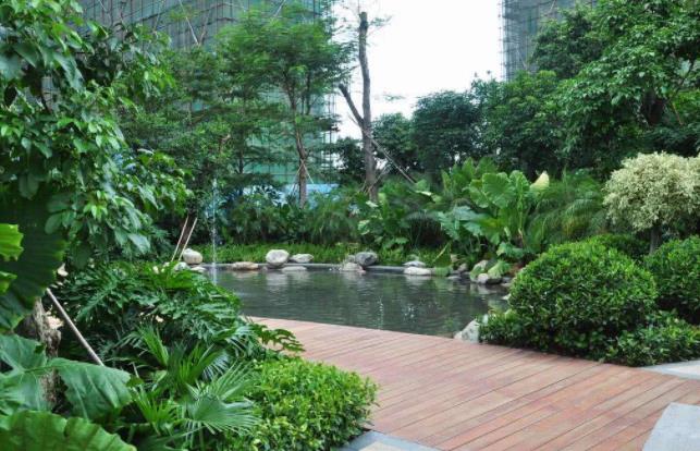 襄陽(yáng)園林公司分享栽樹五大誤區(qū)，您中招了嗎？ 