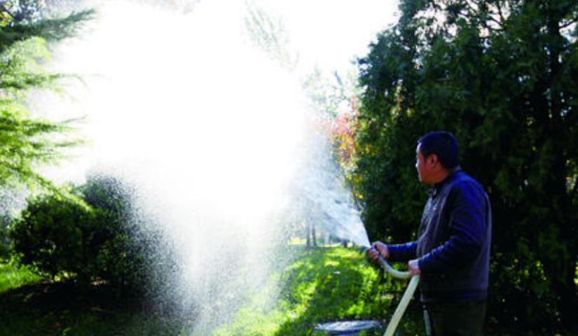 春季氣溫開始回升，湖北凱蒂園林提醒：做好這些養(yǎng)護舉措，苗木來年存活好，長枝快