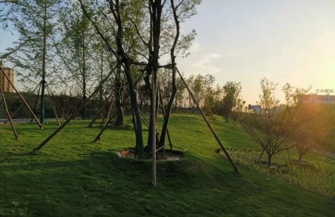 湖北園林景觀公司分享春季園林綠化養(yǎng)護(hù)注意事項